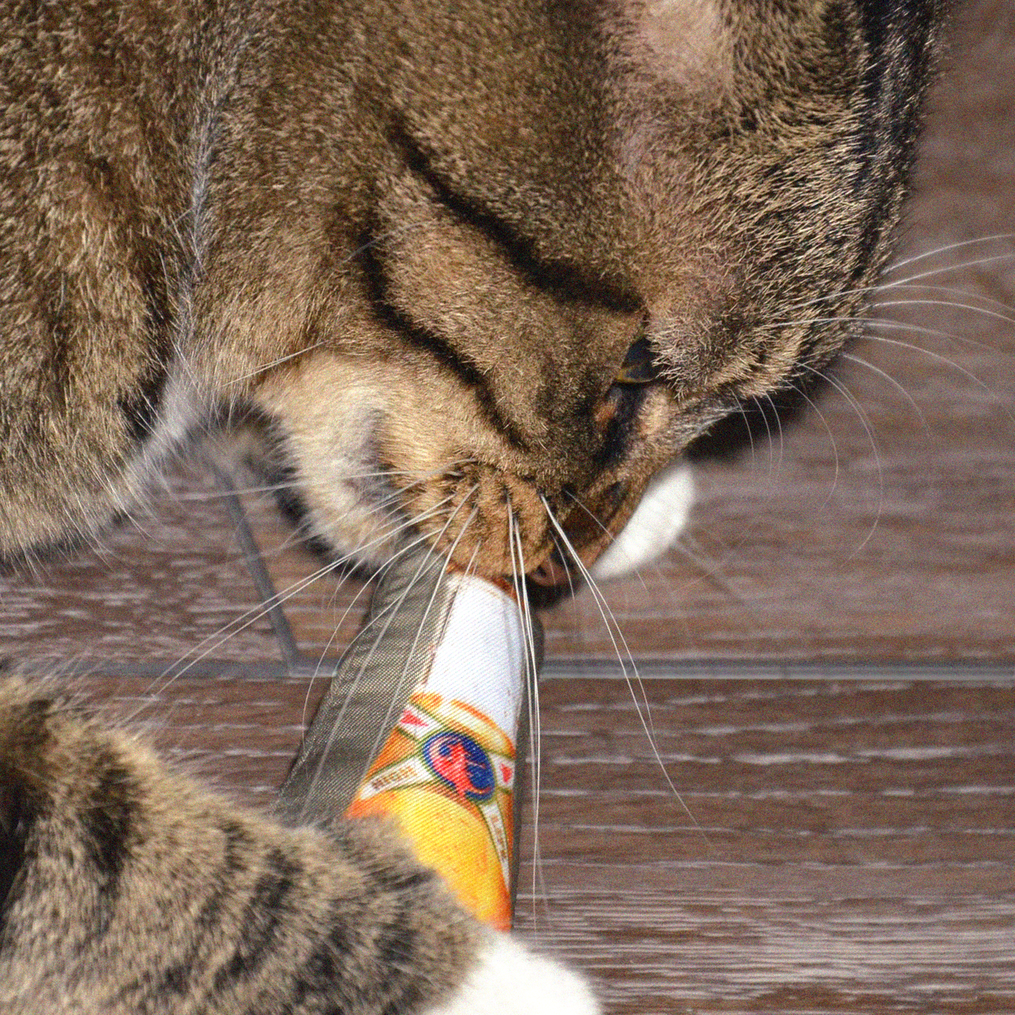 HIGH LIFE CATNIP TOY