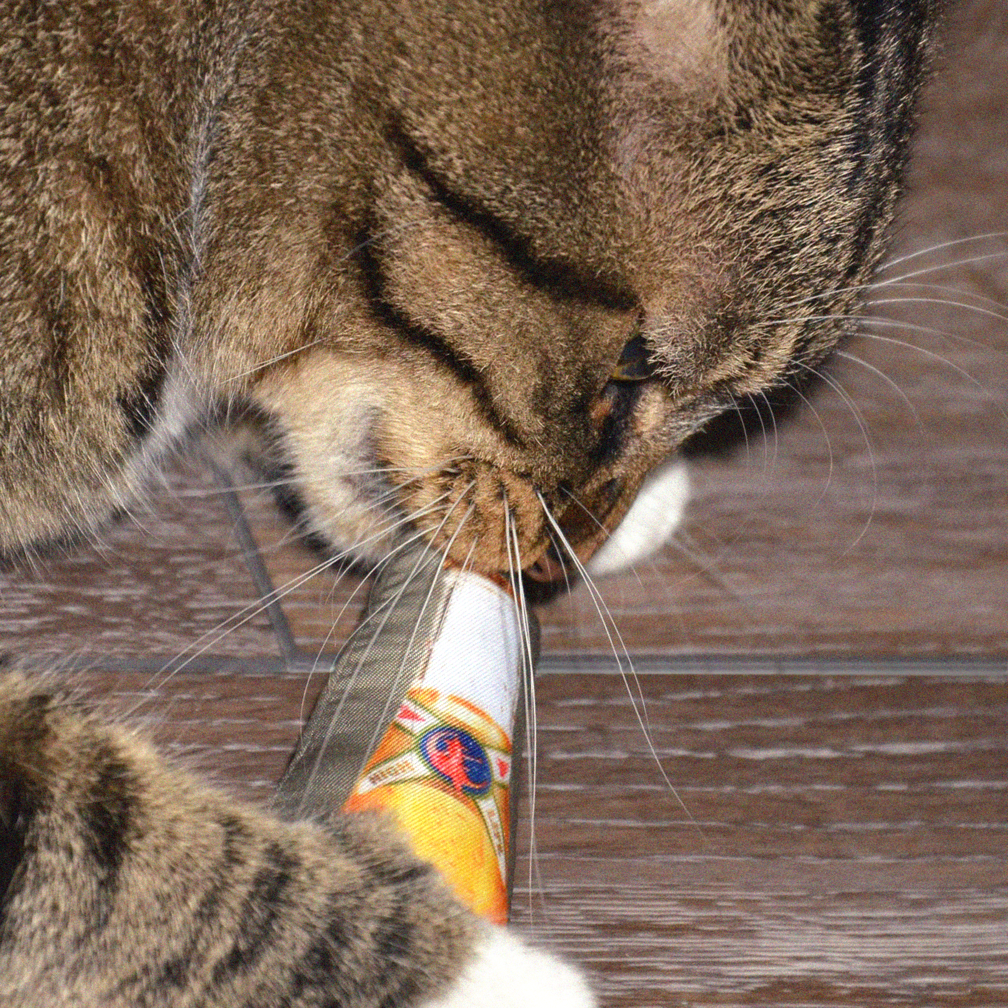 HIGH LIFE CATNIP TOY