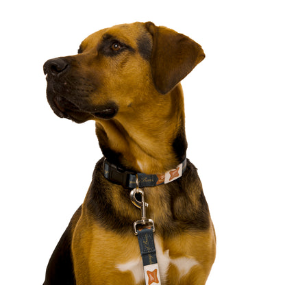 HIGH LIFE PET LEASH